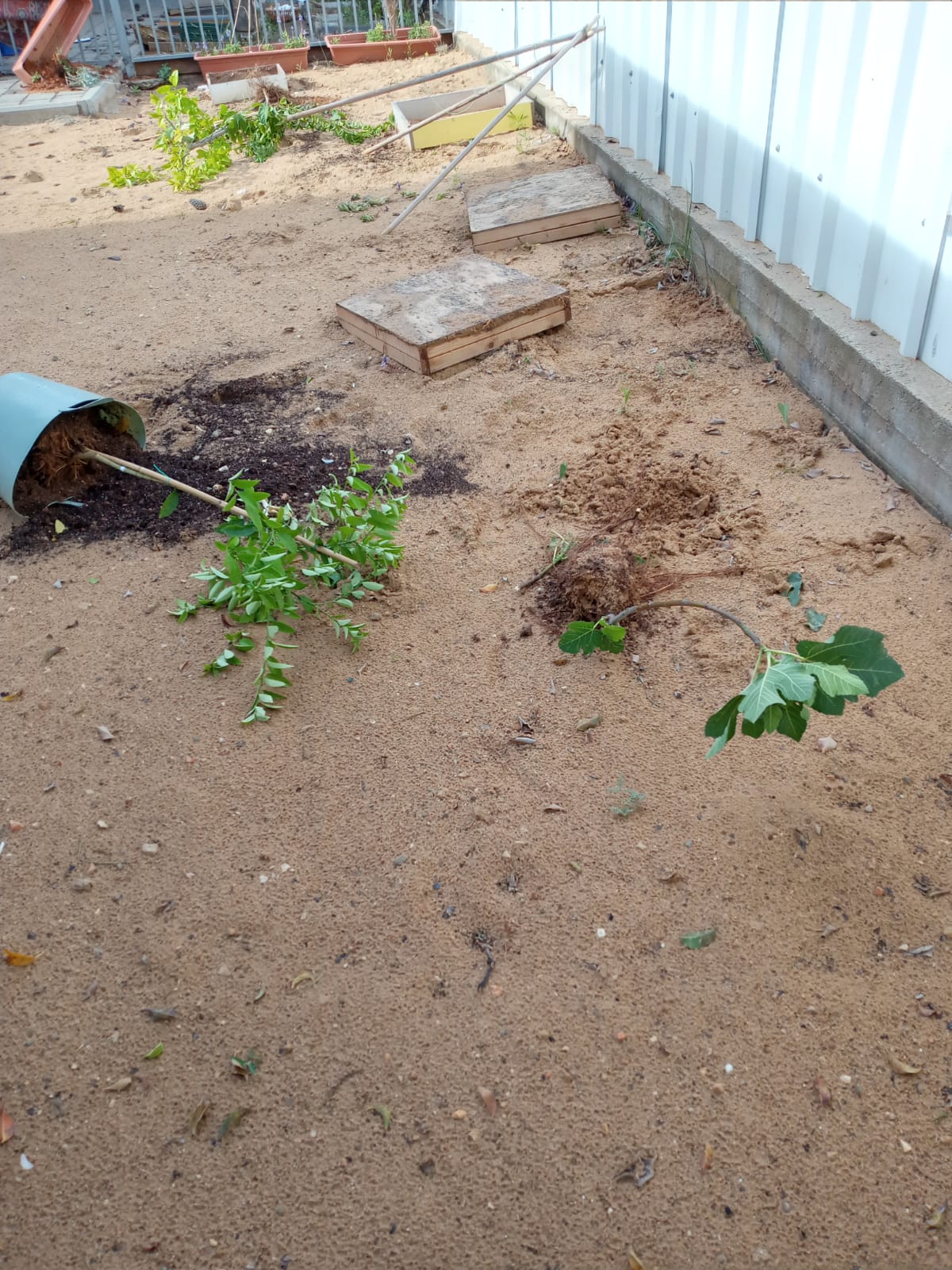 WhatsApp Image 2020-05-06 at 1.02.33 PM.jpeg.jpeg